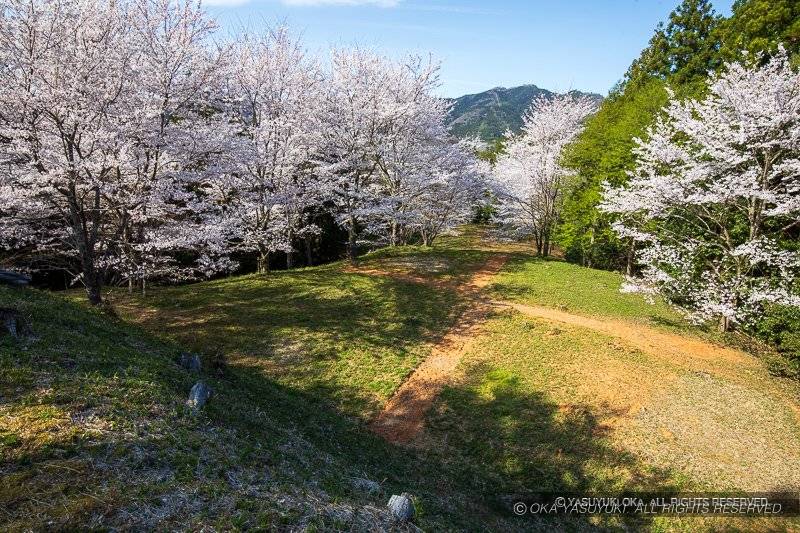 猪崎城主郭北側の段曲輪
