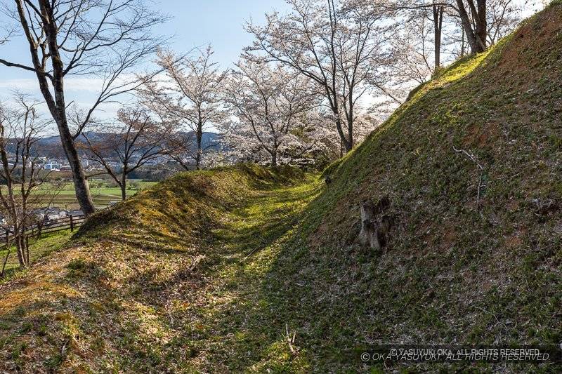 猪崎城主郭の横堀