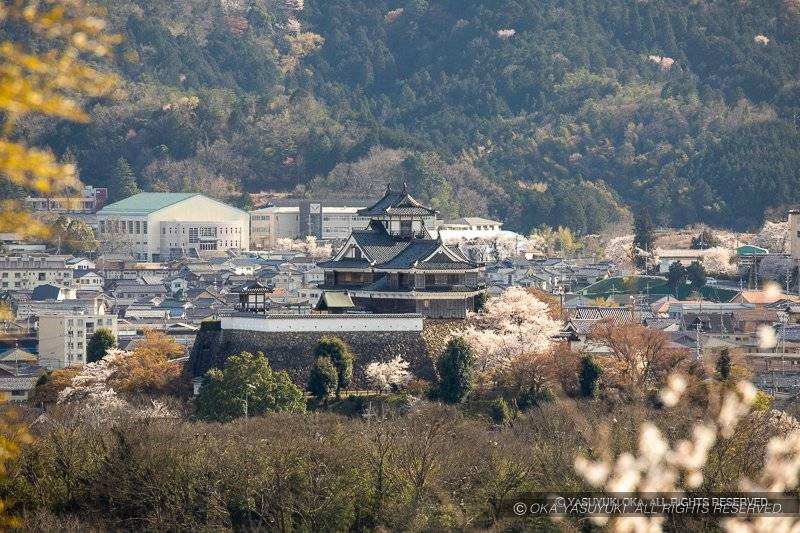 猪崎城から見た福知山城