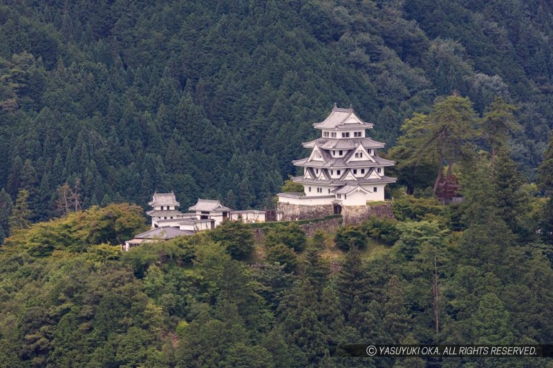 郡上八幡城の雲海撮影場所