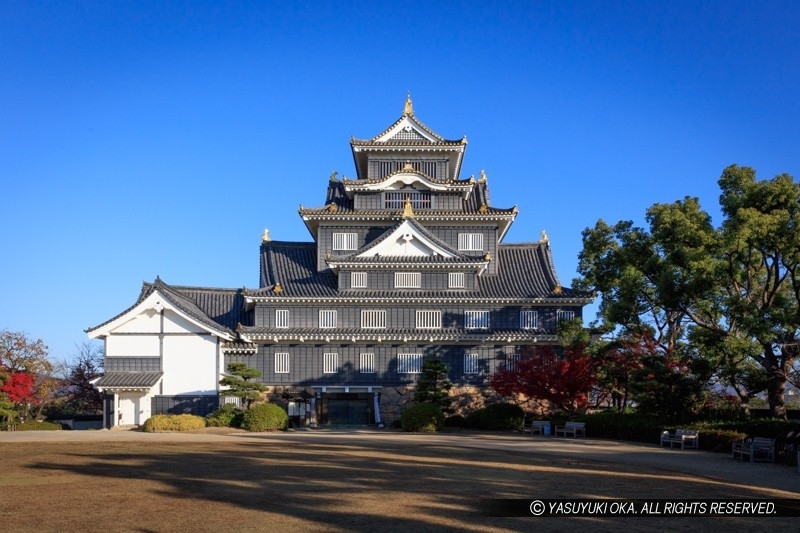 本段から望む岡山城天守