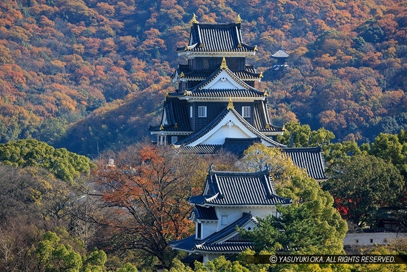 エクセル岡山から望む岡山城天守西側