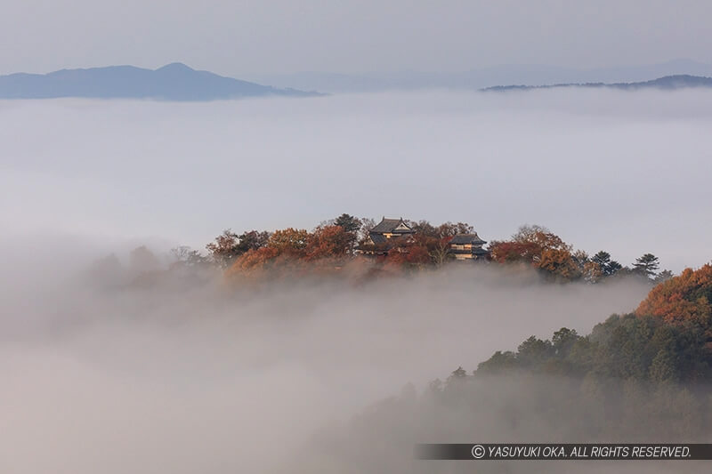 備中松山城の雲海