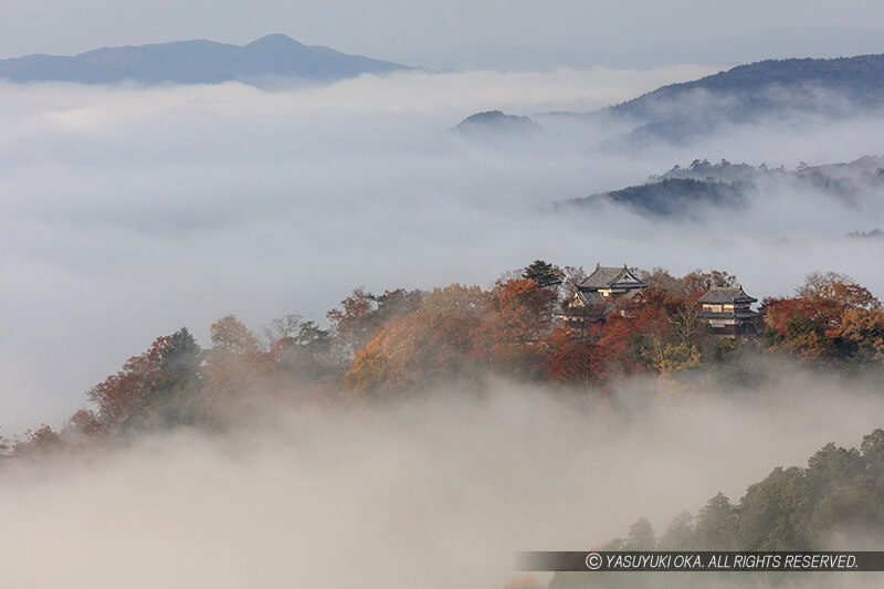 備中松山城の雲海