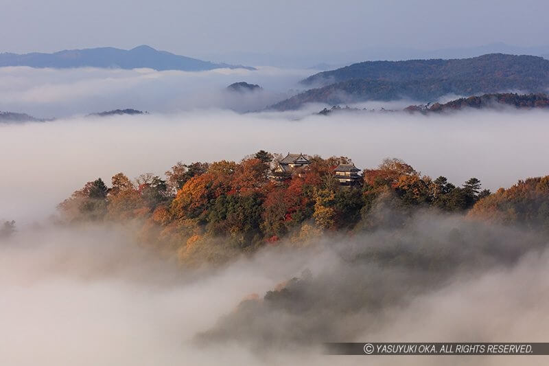 備中松山城の雲海