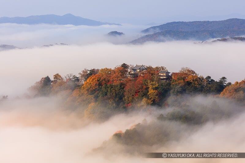 備中松山城の雲海