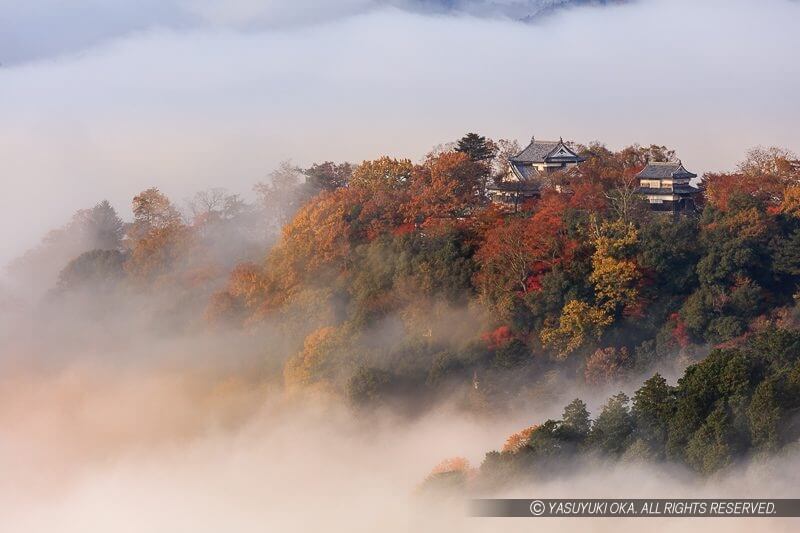 備中松山城の雲海