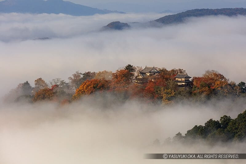 備中松山城の雲海