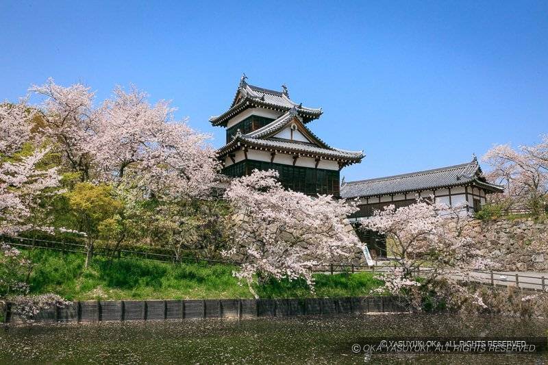 大和郡山城 追手門と追手向櫓