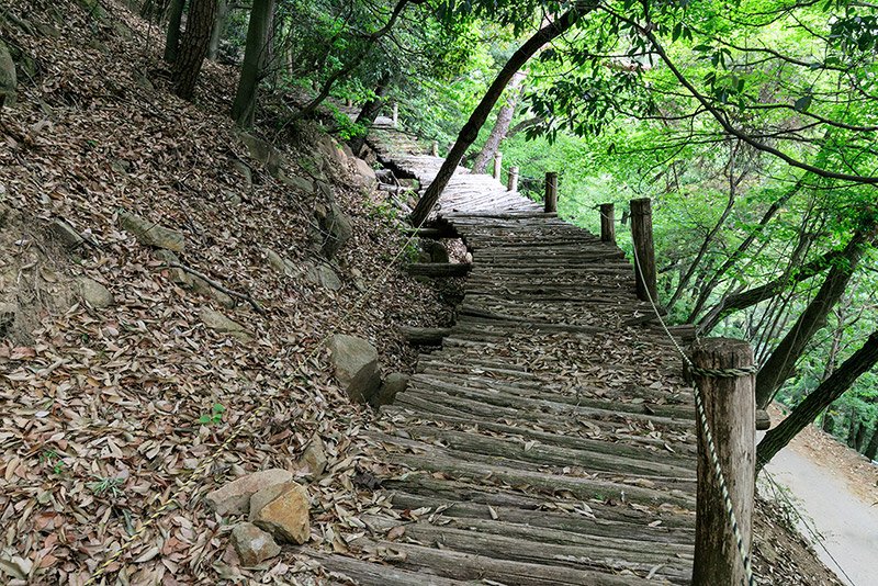 太田城の桟道