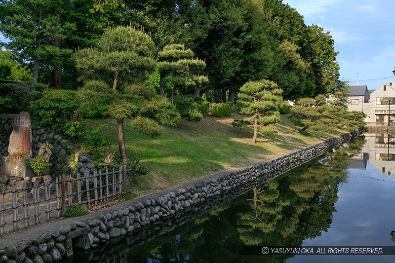 足利氏館・堀