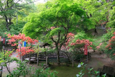 唐沢山城・大炊の井