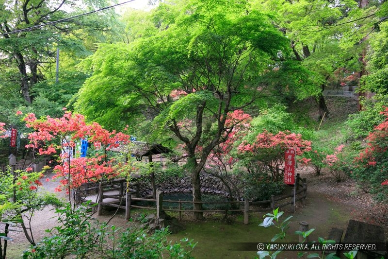 唐沢山城・大炊の井