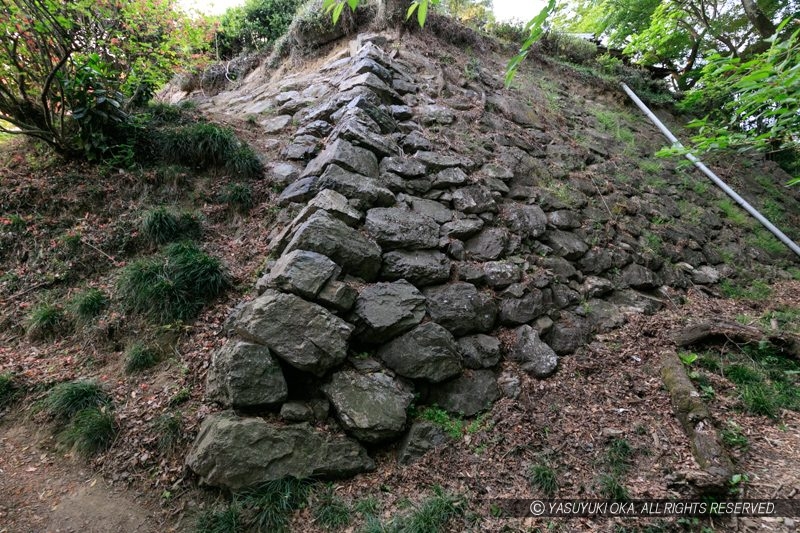 唐沢山城・南城石垣