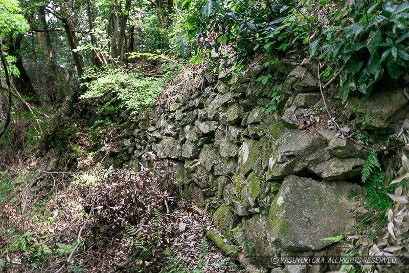 八王子城の柵門跡東側斜面に残る石垣