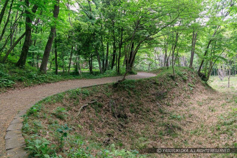 滝山城・U字の土橋