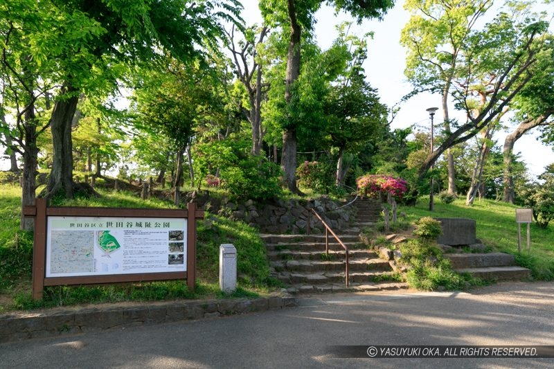 世田谷城址公園