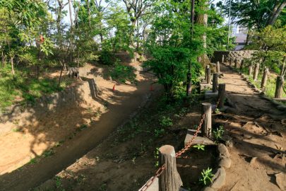 世田谷城・空堀と土塁