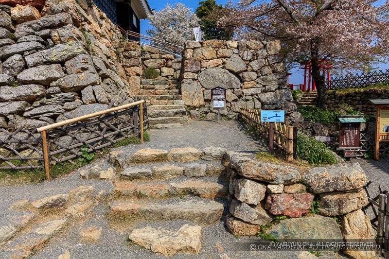 浜松城天守台の登城路