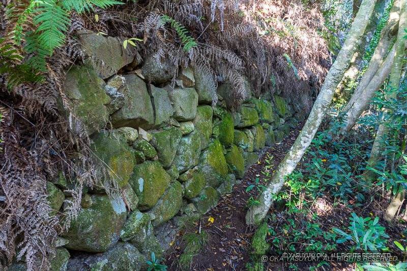 引田城 化粧池石垣