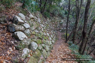引田城 北二の丸下段の高石垣