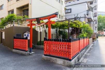 野田の藤（春日神社）