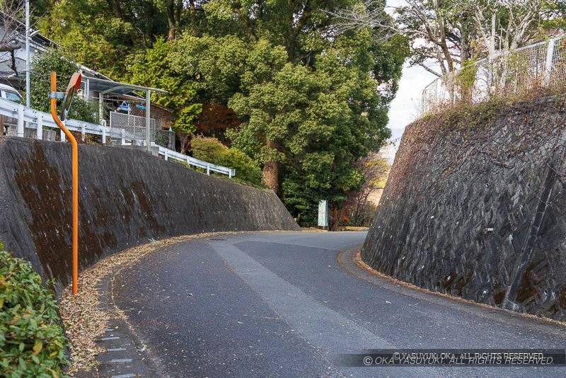 川島城の堀切跡か