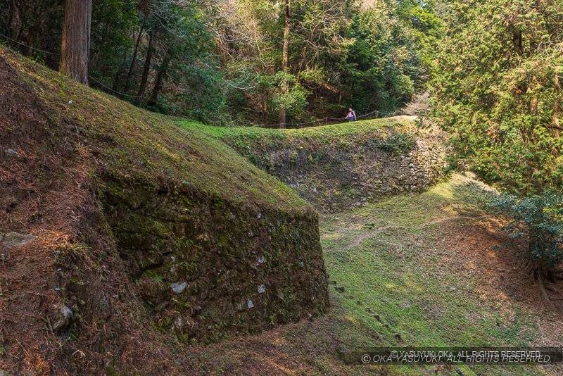 大野城の百間石垣