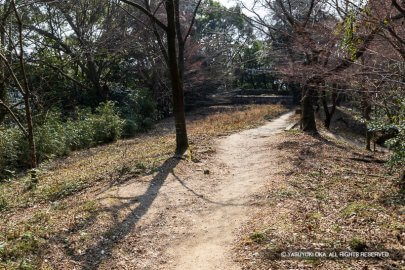 岩屋城二の丸跡
