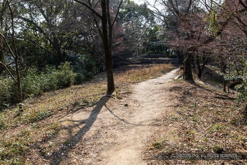 岩屋城二の丸跡