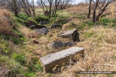木津川「開キ浜」の残念石