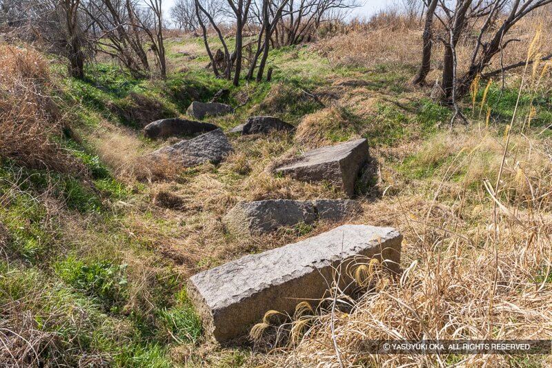 木津川「開キ浜」の残念石