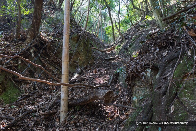 岩盤を削り造られた一直線に伸びる石引道