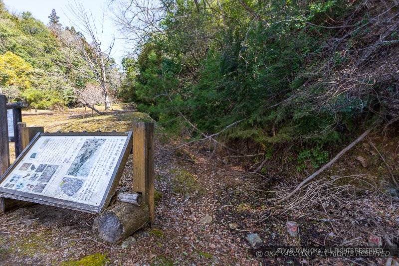 大通院谷遺跡