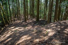 吉田郡山城の厩の壇跡