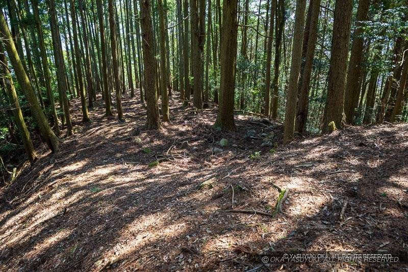 吉田郡山城の厩の壇跡