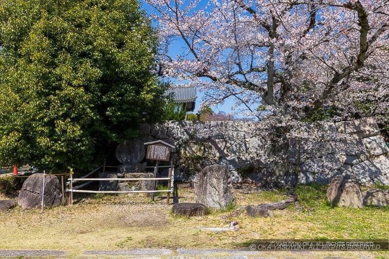 伏見城の残念石