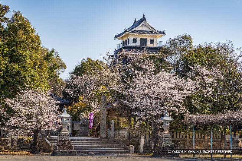 中津城の桜（大分県）