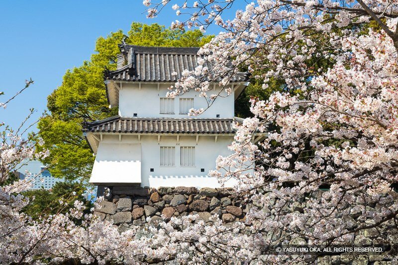 府内城の桜（大分県）