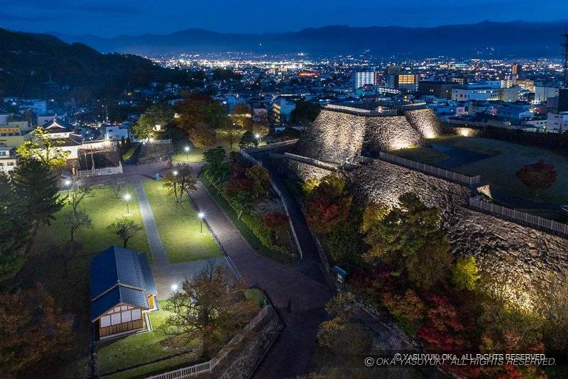 甲府城ライトアップ