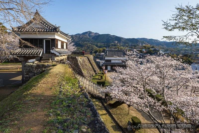 臼杵城 大門櫓と桜
