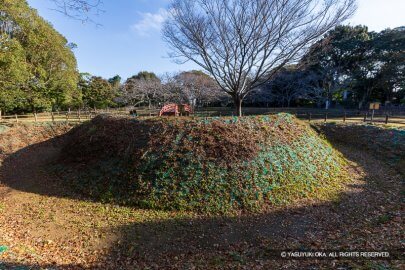 小山城・三日月掘