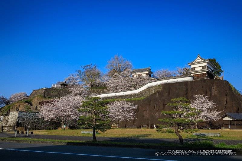 大手門公園から望む臼杵城