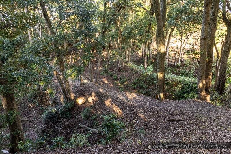 小山城・三重堀