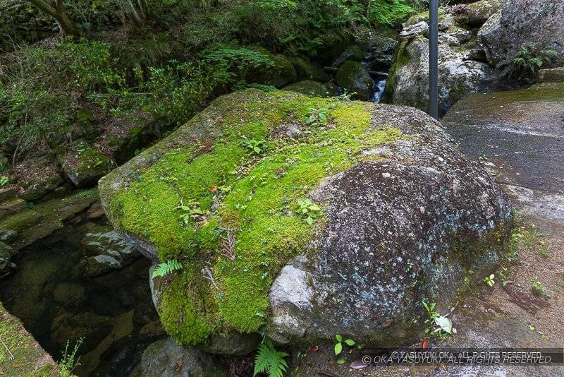 砥堀谷川の石丁場
