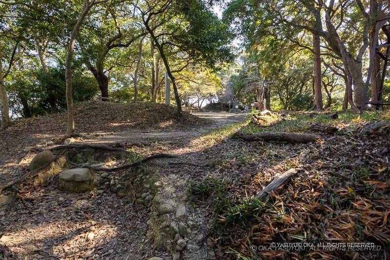 高天神城本丸跡