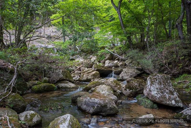 砥堀谷川の石丁場