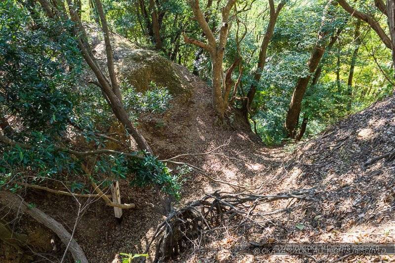 見張台下の堀切