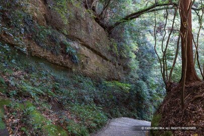 搦手道に見られる断崖