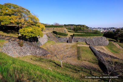 横須賀城